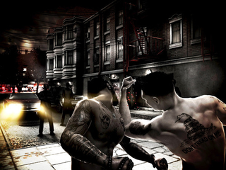 Illustration for article titled First Screens of PlayStation Move's "Motion Fighter"